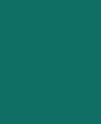 ÉLANYAG ABS 245 PACIFIC 22X1