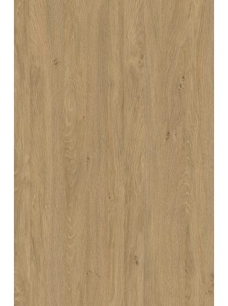 MUNKALAP INTERFA 5527 KONF. PALEO TÖLGY