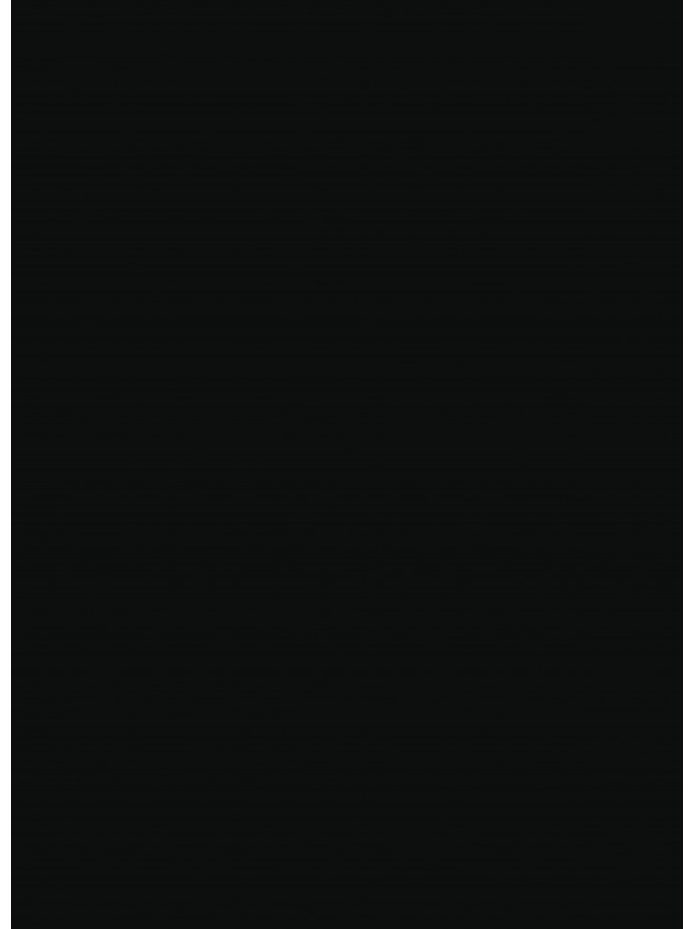 MUNKALAP INTERFA I-2860 KONF. PORTLAND NIGHT NANOTECH