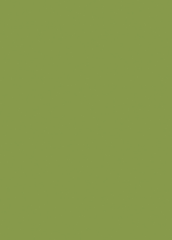 ÉLANYAG ABS U626 23X2MM KIWI ZÖLD